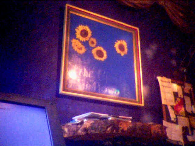 sunnyside cafe krefeld