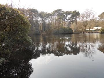 1280px-Roodee_Mere,_Royden_Park_(11)