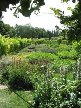 576px-La_Chatonnière_-_Azay-le-Rideau_Garden_08