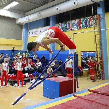 769px-2019-11-28_OHC_Liberec_2019_MAG_Subdivision_1_All-around_competition_Horizontal_bar_(Martin_Rulsch)_494