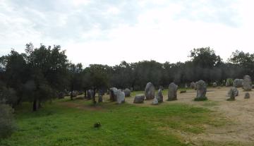 Almendras,_Portugal_(42033097982)