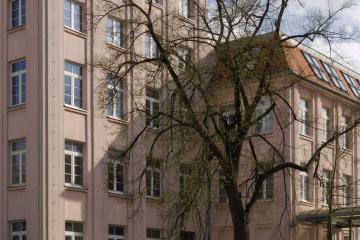 Bärensteiner_Mimosa_d1_1280