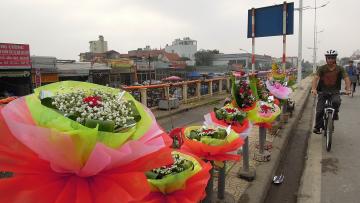 Flowers_for_sale_on_the_footpath_on_Au_Co,_Hanoi,_Vietnam_(7060 YU-APC_Airbus_A319_Air_Serbia 642315)_1280px