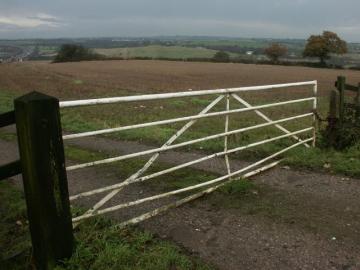 Gate_and_fields,_Selston_-_geograph.org.uk_-_87258