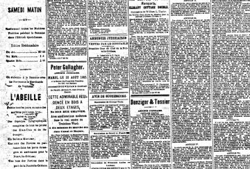 The_New_Orleans_Bee_1905_August_0150_d1_1280