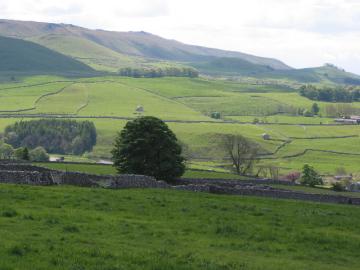 Wharfedale_-_geograph.org.uk_-_28121