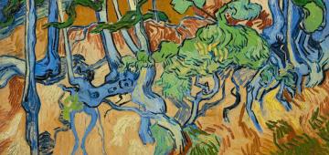 tree_roots_vvgm_1280px
