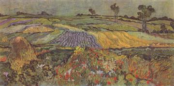 1280px-Vincent Willem van Gogh 038
